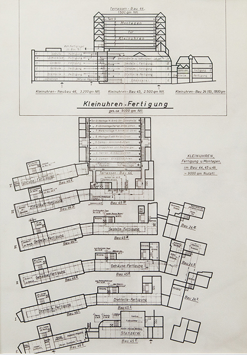 テラスビルディングを含む当時の見取り図